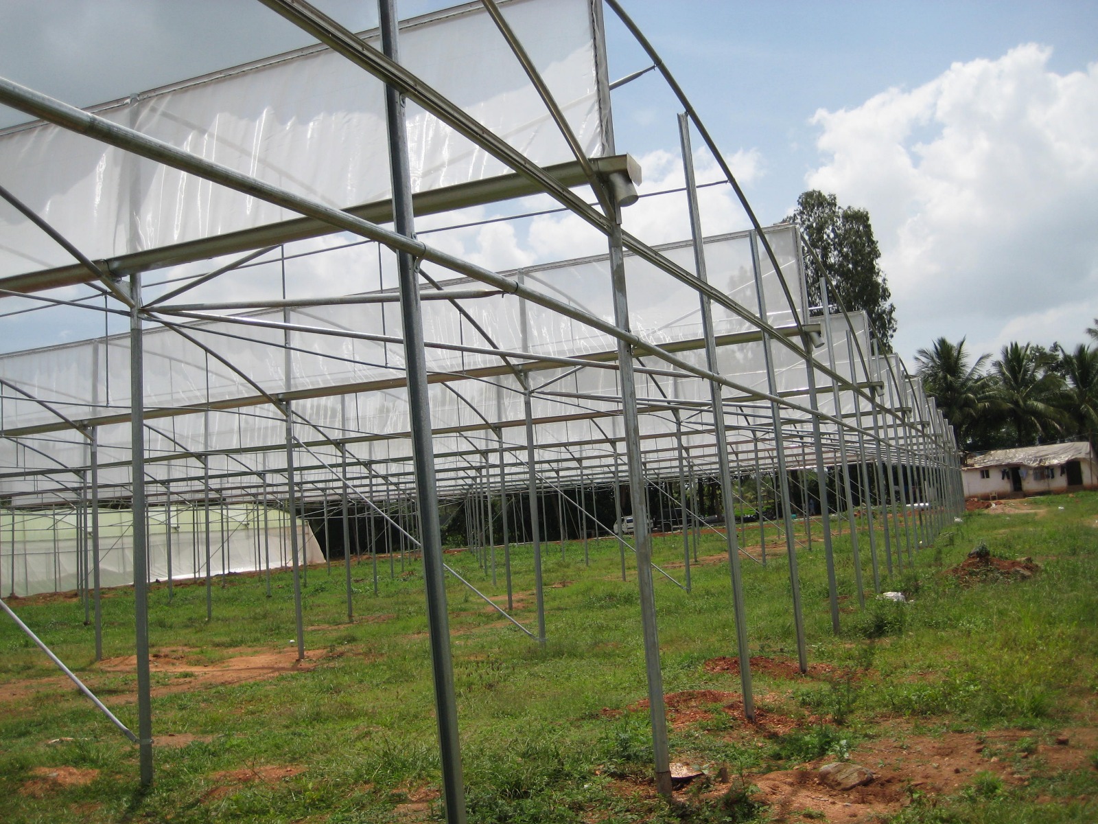 Greenhouse Project 27